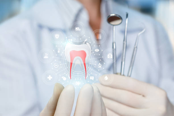 Reliable Tanglewilde, WA Holistic Dental Care Services Solutions